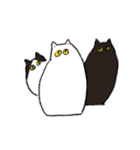 「むむ」にゃーにゃーにゃー（個別スタンプ：31）