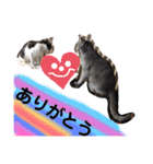 ニャンズ①（個別スタンプ：12）