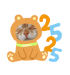 ニャンズ①（個別スタンプ：17）