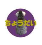 もなもなもなかちゃん（個別スタンプ：3）