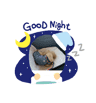 もみじちゃんの（個別スタンプ：7）