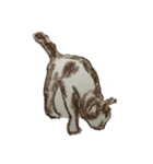 クレパスの保護ねこちゃんたち2。（個別スタンプ：6）