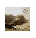 とめねこさん（個別スタンプ：8）