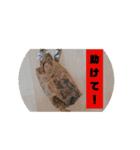リクの主張（個別スタンプ：5）