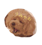 来たる夢（個別スタンプ：2）