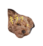 来たる夢（個別スタンプ：5）