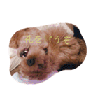 来たる夢（個別スタンプ：7）
