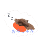 来たる夢（個別スタンプ：17）