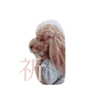来たる夢（個別スタンプ：28）