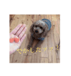 来たる夢（個別スタンプ：37）