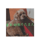 来たる夢（個別スタンプ：40）