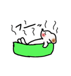 元気なChoko ver.2（個別スタンプ：15）