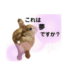 ちがいのわかるうさぎ(反逆編)（個別スタンプ：2）