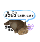 ちがいのわかるうさぎ(反逆編)（個別スタンプ：10）
