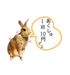 ちがいのわかるうさぎ(反逆編)（個別スタンプ：19）
