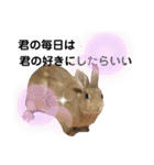 ちがいのわかるうさぎ(反逆編)（個別スタンプ：20）