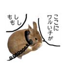 ちがいのわかるうさぎ(反逆編)（個別スタンプ：28）