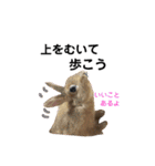 ちがいのわかるうさぎ(反逆編)（個別スタンプ：29）
