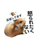 ちがいのわかるうさぎ(反逆編)（個別スタンプ：32）