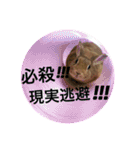 ちがいのわかるうさぎ(反逆編)（個別スタンプ：33）