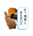 ちがいのわかるうさぎ(反逆編)（個別スタンプ：34）