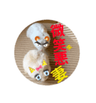 ハムちゃんズの 笑笑 ご挨拶（個別スタンプ：2）
