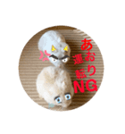 ハムちゃんズの 笑笑 ご挨拶（個別スタンプ：4）