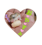ハムちゃんズの 笑笑 ご挨拶（個別スタンプ：5）