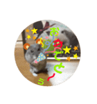 ハムちゃんズの 笑笑 ご挨拶（個別スタンプ：7）