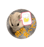 ハムちゃんズの 笑笑 ご挨拶（個別スタンプ：9）