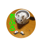 ハムちゃんズの 笑笑 ご挨拶（個別スタンプ：10）