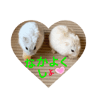ハムちゃんズの 笑笑 ご挨拶（個別スタンプ：16）