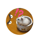 ハムちゃんズの 笑笑 ご挨拶（個別スタンプ：17）