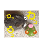 ハムちゃんズの 笑笑 ご挨拶（個別スタンプ：18）