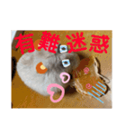 ハムちゃんズの 笑笑 ご挨拶（個別スタンプ：19）