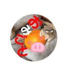 ハムちゃんズの 笑笑 ご挨拶（個別スタンプ：20）