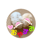 ハムちゃんズの 笑笑 ご挨拶（個別スタンプ：23）