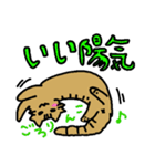 ねこのもちゃ！（個別スタンプ：1）