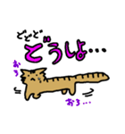 ねこのもちゃ！（個別スタンプ：6）