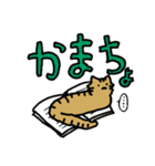 ねこのもちゃ！（個別スタンプ：8）