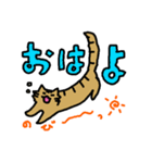 ねこのもちゃ！（個別スタンプ：10）