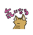 ねこのもちゃ！（個別スタンプ：18）