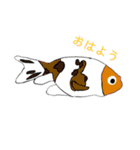 トロピカルフィッシュ（個別スタンプ：2）