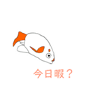 トロピカルフィッシュ（個別スタンプ：4）