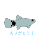 トロピカルフィッシュ（個別スタンプ：5）