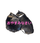 武蔵小次郎おまけの姫ちゃん part.2（個別スタンプ：24）