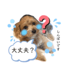 モナくんの日常会話（個別スタンプ：5）