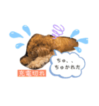 モナくんの日常会話（個別スタンプ：9）