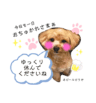モナくんの日常会話（個別スタンプ：13）