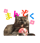 山葵嬢スタンプ～幼少期編～（個別スタンプ：3）